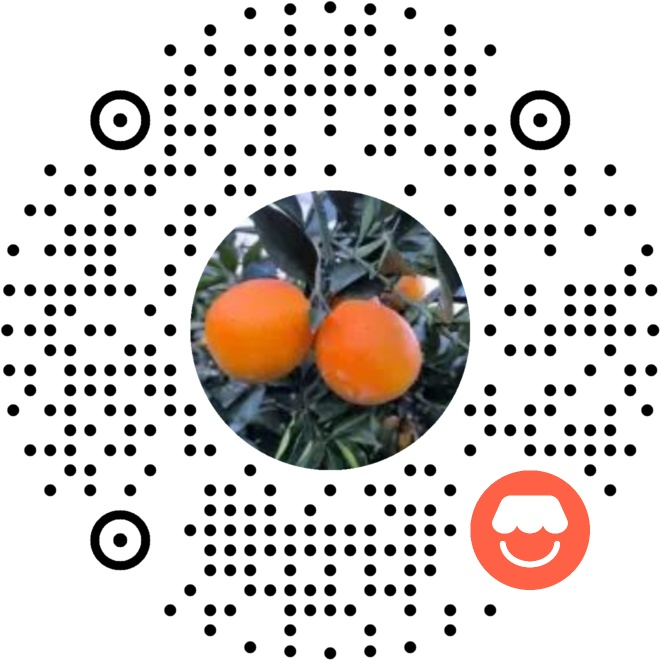 微信小店二维码